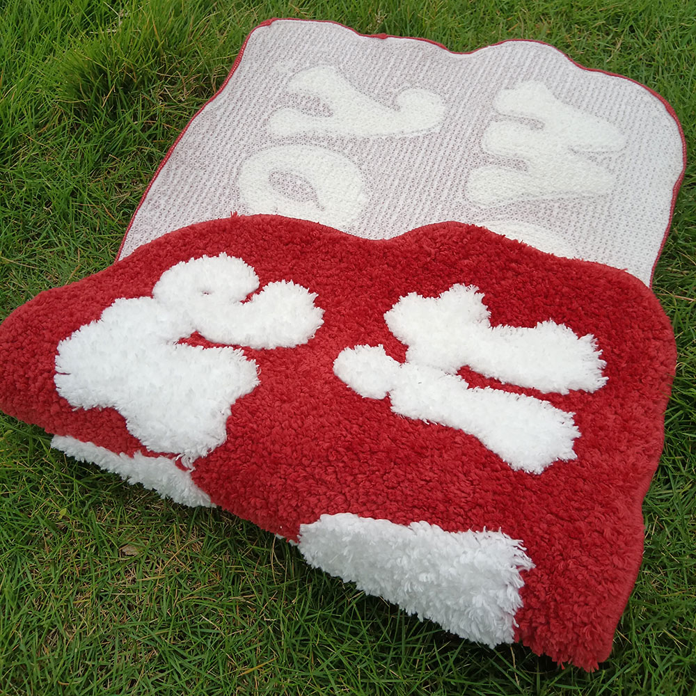 Non-Slip Carpet with Letter Pa - Home Bathroom Door Design ulasan dan harga