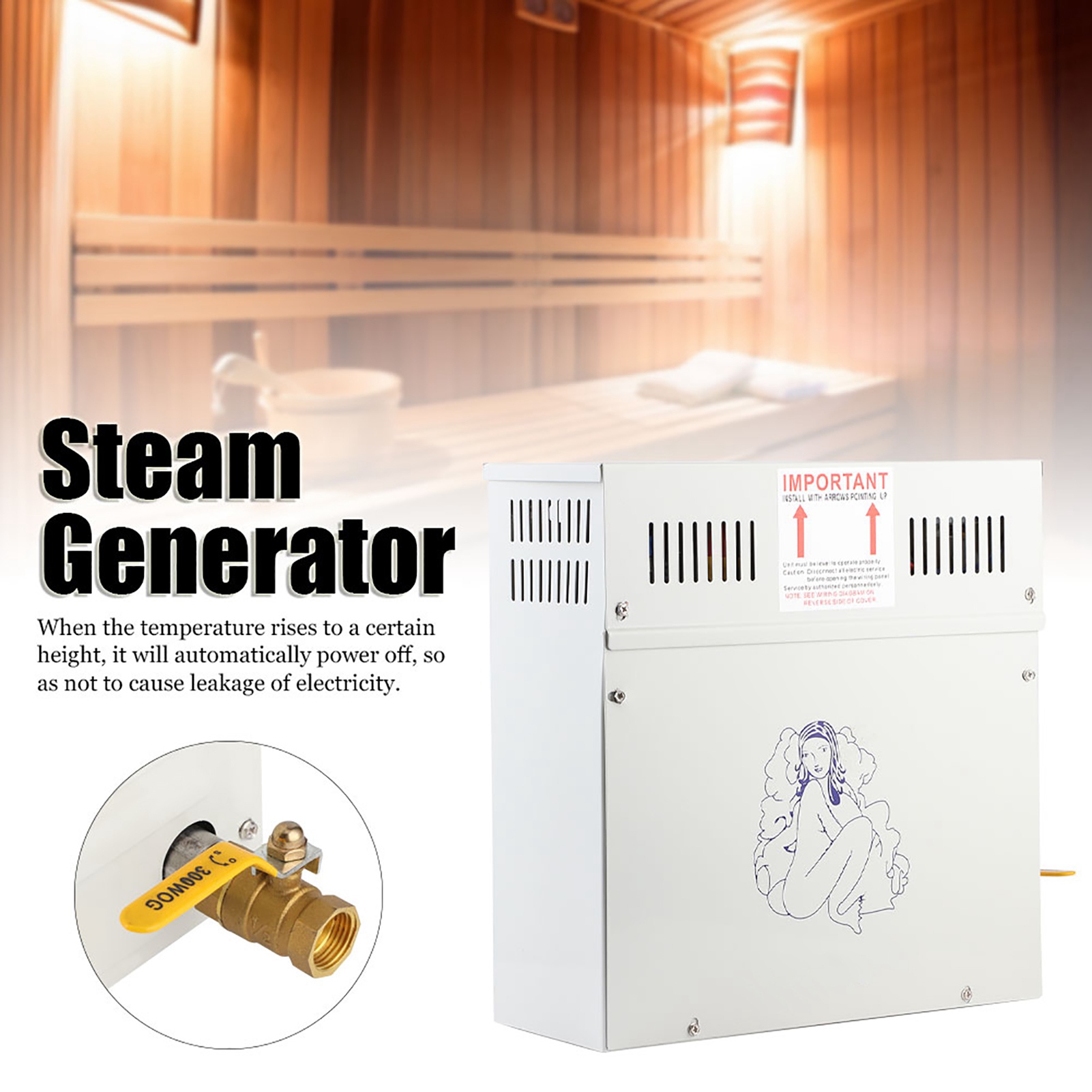 4.5KW 220V Steam Generator Sho - Home Bathroom With Sauna ulasan dan harga